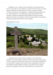 Analiza satului contemporan românesc - Pagina 4