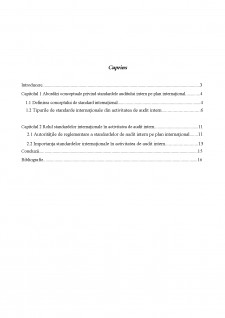 Elemente de standardizare a auditului intern - Pagina 1