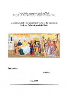 Comparație între învierea fiului văduvei din Sarepta și a fiului văduvei din Nain - Pagina 1