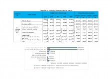 Analiza economico financiară - Turism Felix - Pagina 4