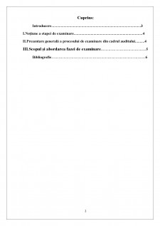 Examinarea ca procedură pentru obținerea dovezilor de audit - Pagina 2