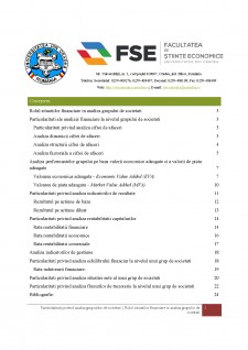 Particularități privind analiza grupurilor de societăți - Rolul situațiilor financiare în analiza grupului de societăți - Pagina 2