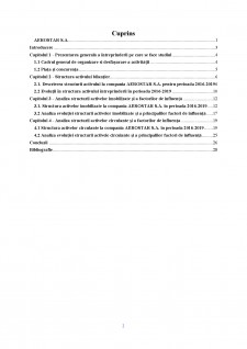 Analiza structurii activului unei întreprinderi Aerostar SA - Pagina 2