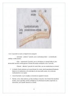 Chirurgie toracică, cardiovasculară și nursing specific - Pagina 4