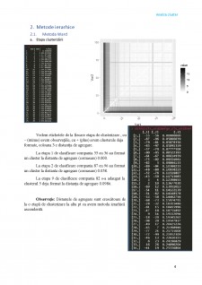 Analiza cluster - Pagina 4