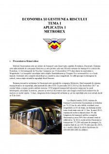 Analiza Risc Metrorex - Pagina 1