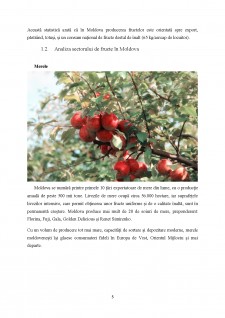Studiul pieței fructelor în Republica Moldova - Pagina 5