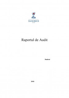 Raportul de Audit - Pagina 1