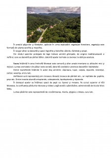 Stațiunea turistică balneoclimaterică Moneasa - Pagina 5