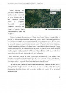 Integrarea turistică a geositului Peștera Scărișoara - Ghețarul de la Scărișoara - Pagina 4