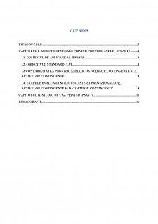 Tratamentul contabil al provizioanelor, datoriilor contingente și activelor contingente potrivit IPSAS 19 - Pagina 2