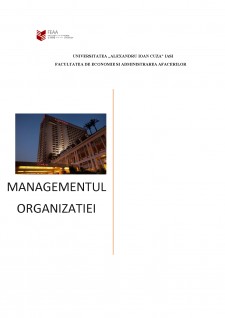 Managementul Organizației - Pagina 1