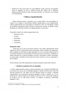 Managementul Organizației - Pagina 5