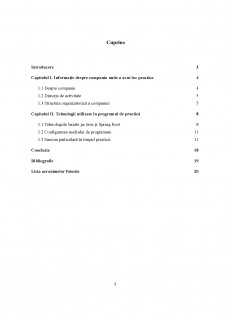 Raport privind practica de licență - Pagina 2