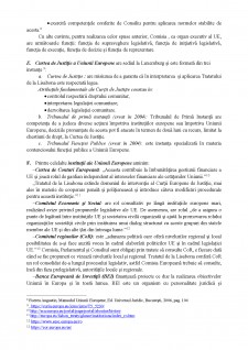 Principiile stabilirii competențelor și sistemull distribuirii și al exercitării lor în comun între instituțiile Uniunii Europene - Pagina 4