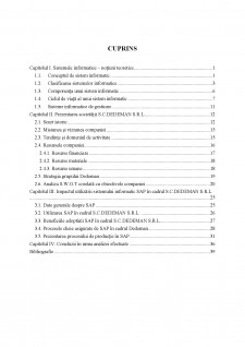 Impactul utilizării sistemelor informatice în antreprenoriatul românesc - Studiu de caz la SC Dedeman SRL - Pagina 3