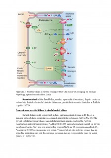 Fiziologie LP nr 8 - Secreția biliară - Pagina 5