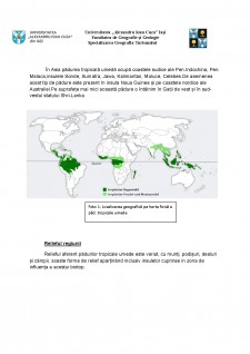 Biodiversitatea pădurilor tropicale umede - Pagina 4