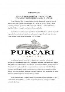 Evoluția principalilor indicatori economico-financiari la SC Purcari Wineries Public Company Limited - Pagina 3