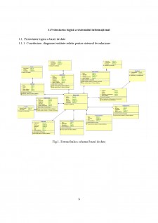 Proiectarea sistemului informațional de salarizare - Pagina 3