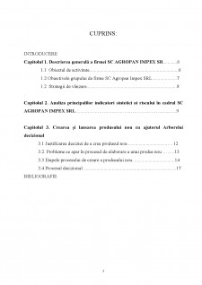Analiza viabilității economice în cazul introducerii cornurilor cu ciocolată în cadrul firmei SC Agropan Impex SRL - Pagina 3
