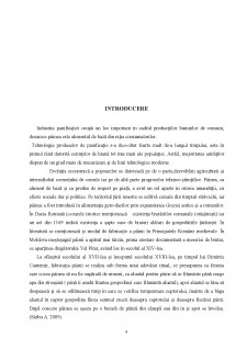 Analiza viabilității economice în cazul introducerii cornurilor cu ciocolată în cadrul firmei SC Agropan Impex SRL - Pagina 4