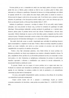 Analiza viabilității economice în cazul introducerii cornurilor cu ciocolată în cadrul firmei SC Agropan Impex SRL - Pagina 5