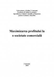 Maximizarea profitului la o societate comercială - Pagina 1