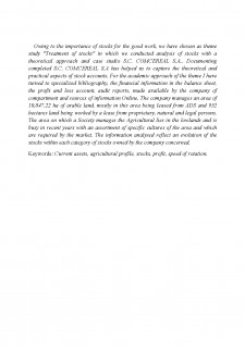 Tratamentul contabil al stocurilor - Pagina 2