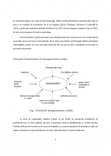 Managementul calității - Pagina 3