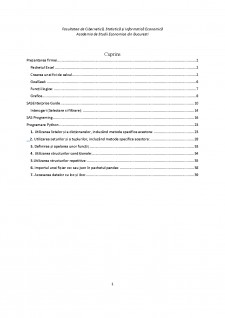 Analiza angajaților unei firme de contabilitate - Pagina 2