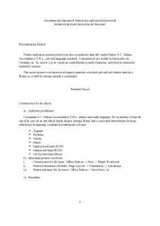 Analiza angajaților unei firme de contabilitate - Pagina 3