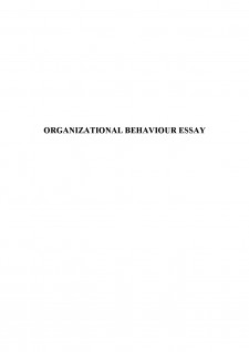 Organizational behaviour essay - Pagina 1