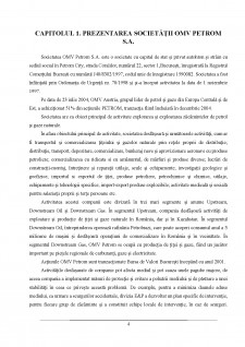 Analiza financiară a companiei OMV Petrom SA - Pagina 4