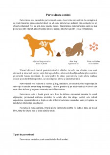 Parvoviroza canină - Pagina 1