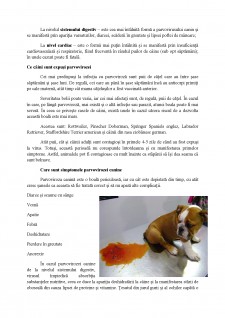 Parvoviroza canină - Pagina 2