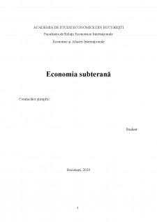 Economia subterană - Pagina 2