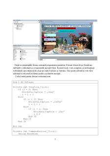 Inițiere în limbajul de programare VBA (Visual Basic for Applications) - Pagina 5