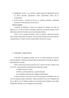 Răspunderile gestionarului la SC Alcedo SRL - Pagina 3