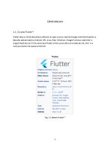 Tehnologii de programare în Internet - Flutter - Pagina 3