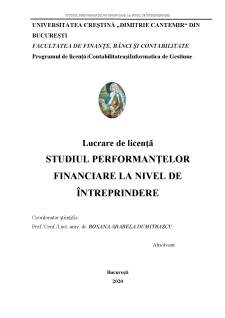 Studiul performanțelor financiare la nivel de întreprindere - Pagina 1