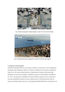 Schimbările climatice asupra Antarcticii - Pagina 5