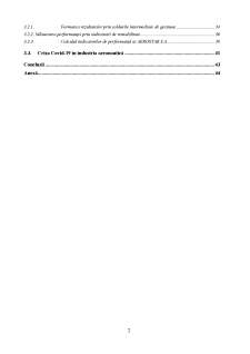 Analiza performanței financiare pe baza contului de profit și pierdere la Aerostar SA - Pagina 3