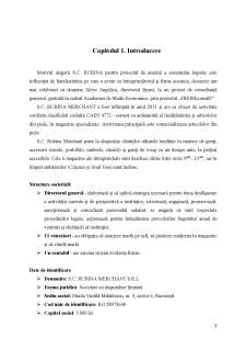 Analiza sistemului logistic la întreprinderea S.C. Rubina Merchant S.R.L - Pagina 3