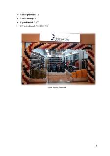 Analiza sistemului logistic la întreprinderea S.C. Rubina Merchant S.R.L - Pagina 4
