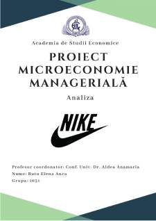 Microeconomie managerială - Analiza Nike - Pagina 1