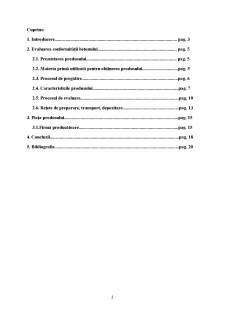 Evaluarea conformității produselor - Betonul - Pagina 2