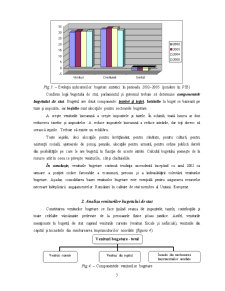 Analiza bugetului de stat al României în perioada 2006-2008 - Pagina 4
