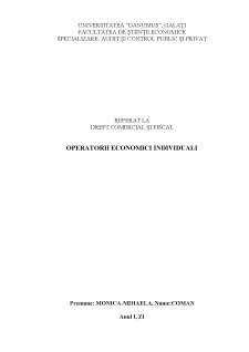 Operatorii economici individuali - Pagina 1