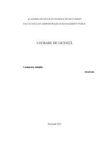 Analiza culturii organizaționale din cadrul Primăriei Comunei Stejaru. modalități de îmbunătățire a acesteia - Pagina 1